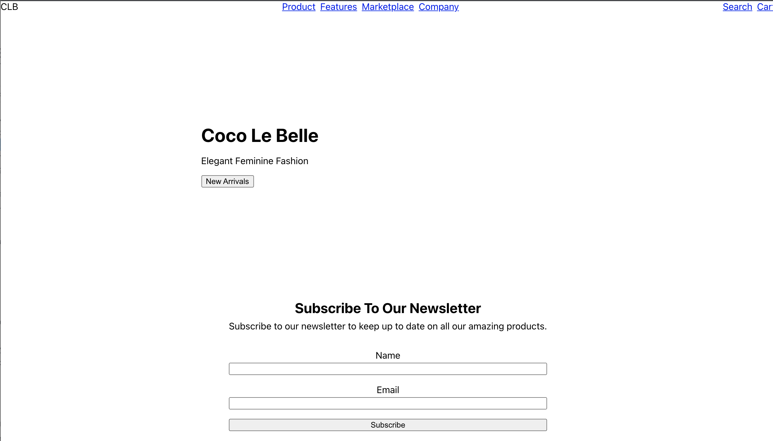 The landing page with the hero layout and center styles have been applied.